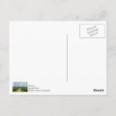 トウモロコシ畑の間 ポストカード (裏面)