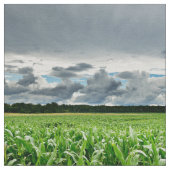 トウモロコシ畑 ファブリック (クローズアップ)