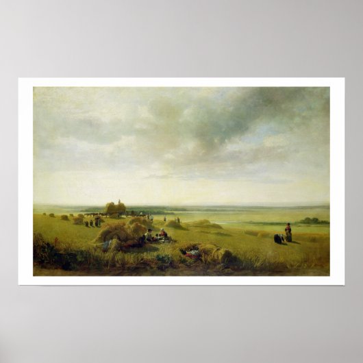 トウモロコシ畑 ポスター (正面)