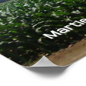 トウモロコシ畑 ポスター (角)