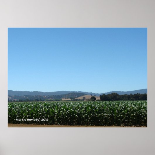 トウモロコシ畑 ポスター (正面)