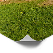 トウモロコシ畑 ポスター (角)