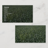 トウモロコシ畑 名刺 (正面/裏面)