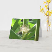 "トウモロコシ羽をつけます"は カード (黄色い花)