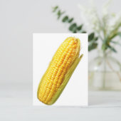 トウモロコシ ポストカード (スタンド正面)