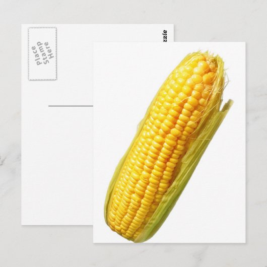 トウモロコシ ポストカード (正面/裏面)
