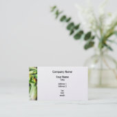 トウモロコシ 名刺 (スタンド正面)