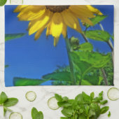 トウモロコシ「Nの青いヒマワリの台所タオル キッチンタオル (折り畳み)