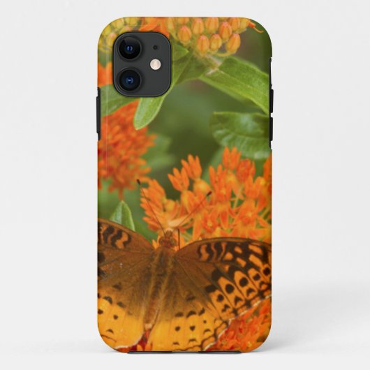トウワタの上のギフチョウ Case-Mate iPhoneケース (裏面)