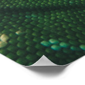 トカゲが目を閉ざすのを見る ポスター (角)