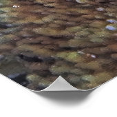 トカゲとチュニケート ポスター (角)