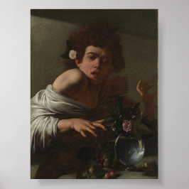 トカゲに噛まれた少年 ポスター