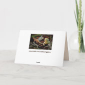 トカゲのガロレグリーティングカード シーズンカード (裏面)