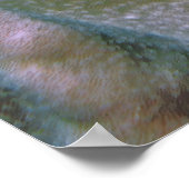 トカゲのバランス ポスター (角)