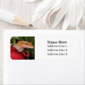 トカゲのバラ差出人住所 ラベル (インサイチュ)