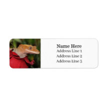 トカゲのバラ差出人住所