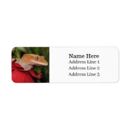 トカゲのバラ差出人住所 ラベル