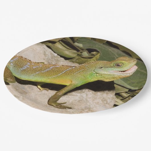 トカゲの恋人のための中国のなウォータードラゴン属 ペーパープレート (アングル)