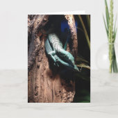 トカゲの抱擁挨拶状 カード (正面)