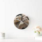 トカゲの時間髭があるドラゴンの時計 ラウンド壁時計 (ホーム)