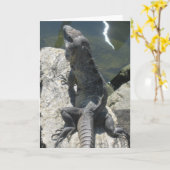 トカゲの石の挨拶状 カード (黄色い花)