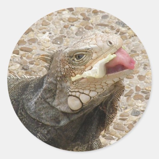 トカゲの舌のステッカー ラウンドシール (正面)