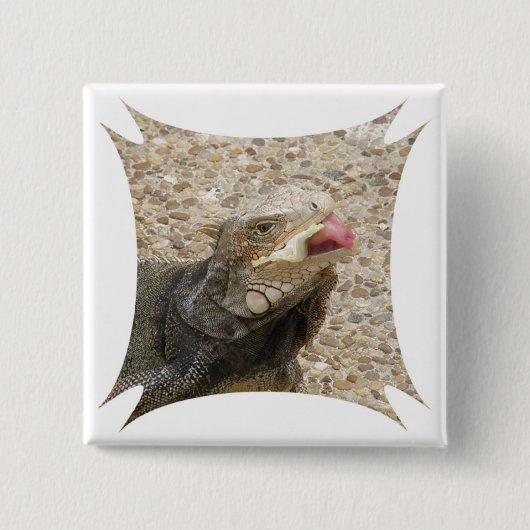 トカゲの舌の正方形Pin 缶バッジ (正面)