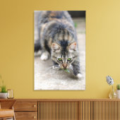 トカゲを捕らえた猫 キャンバスプリント (インサイチュ (リビング))