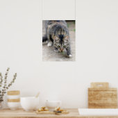 トカゲを捕らえた猫 ポスター (キッチン)