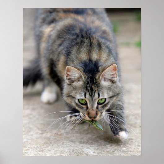 トカゲを捕らえた猫 ポスター (正面)