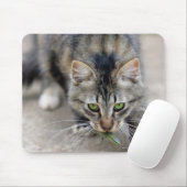 トカゲを捕らえた猫 マウスパッド (マウス)