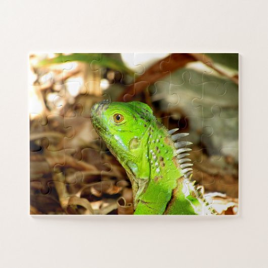 トカゲパズル ジグソーパズル (横)