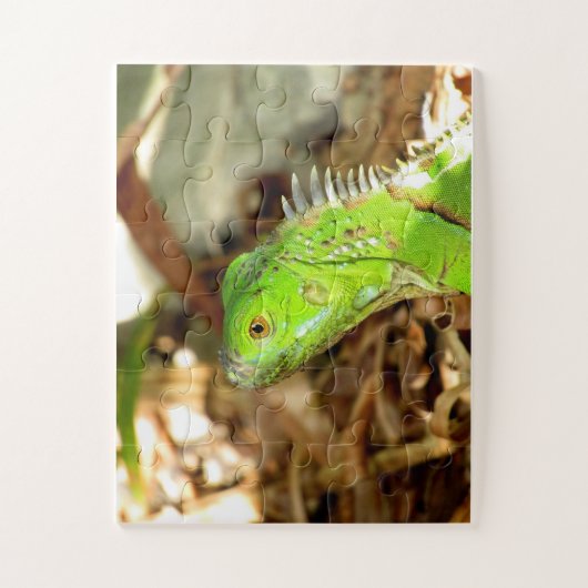 トカゲパズル ジグソーパズル (縦)