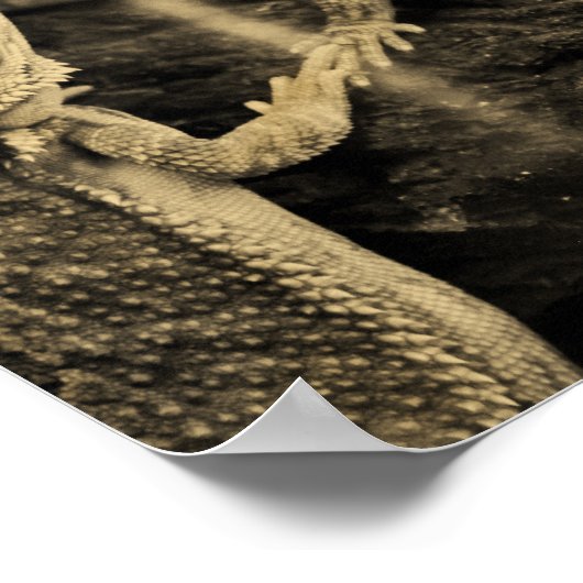 トカゲ二羽 ポスター (角)