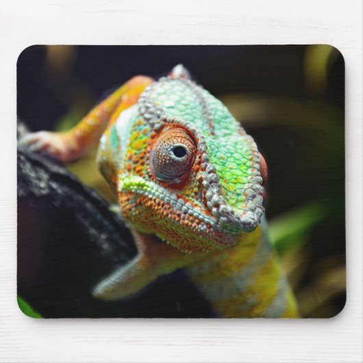 トカゲ類、爬虫類 マウスパッド (正面)