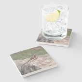 トカゲ ストーンコースター (横)