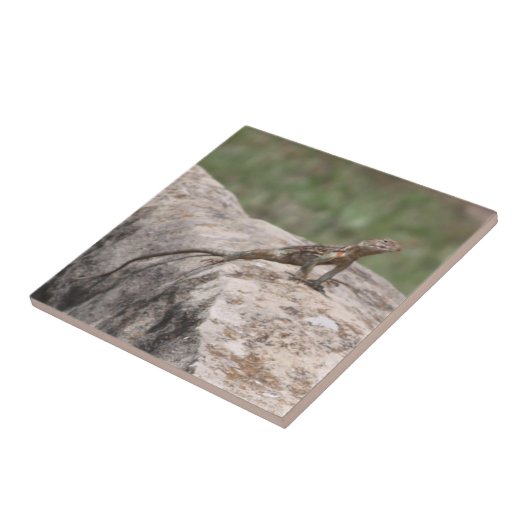 トカゲ タイル (側面)