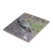 トカゲ タイル (側面)