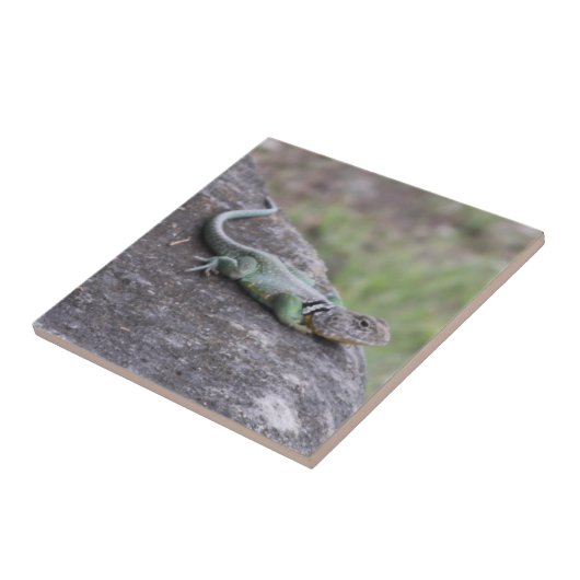 トカゲ タイル (側面)