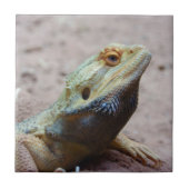 トカゲ タイル (正面)