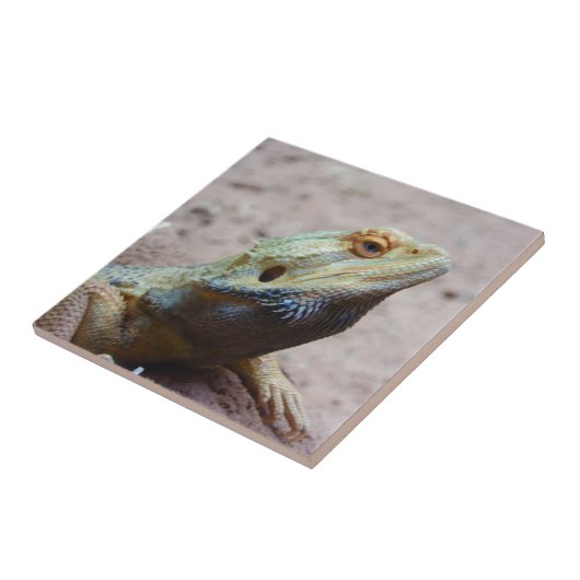 トカゲ タイル (側面)