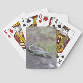 トカゲ トランプ