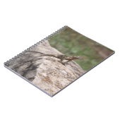 トカゲ ノートブック (左側)