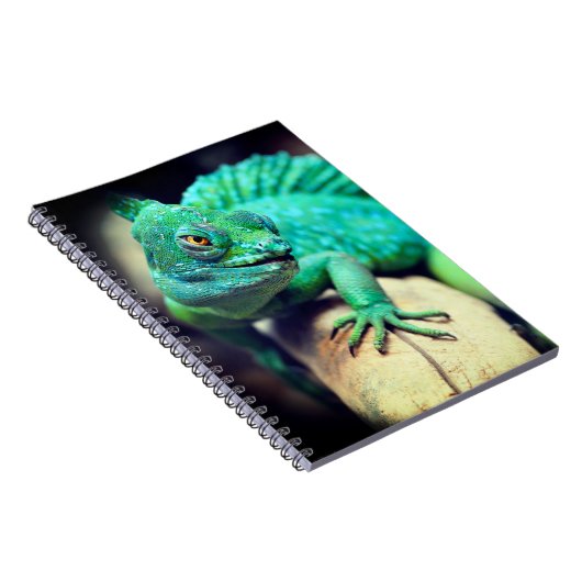トカゲ ノートブック (右側)