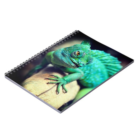 トカゲ ノートブック (左側)