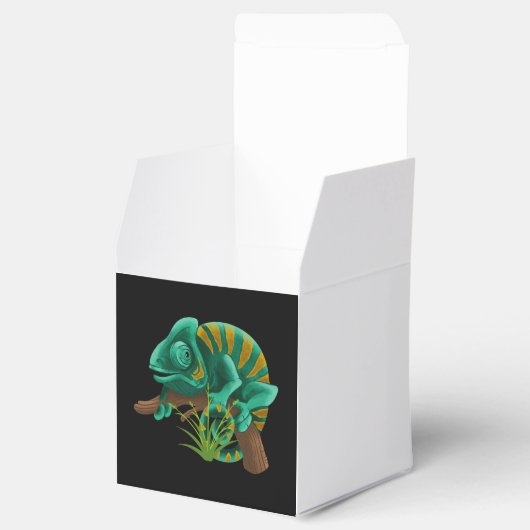 トカゲ フェイバーボックス (オープン)