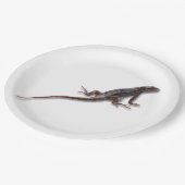 トカゲ ペーパープレート (アングル)