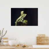 トカゲ ポスター (キッチン)