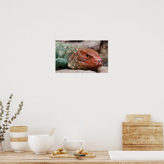 トカゲ ポスター (キッチン)