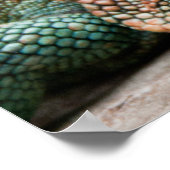 トカゲ ポスター (角)